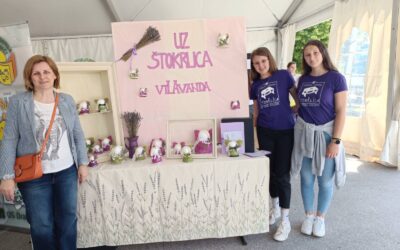 Županijska smotra Karlovačke županije