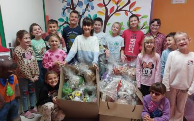 „IGRAČKOM DO SMIJEHA“ – PŠ CEROVAC VUKMANIĆKI